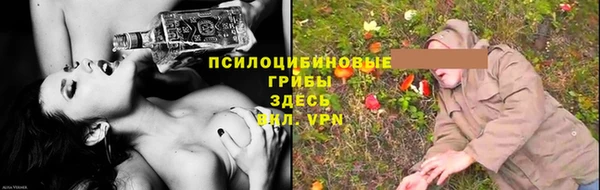 молекула духа Богданович