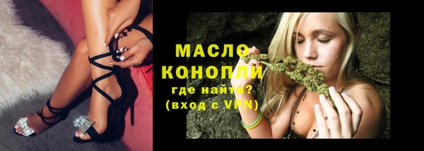 молекула духа Богданович