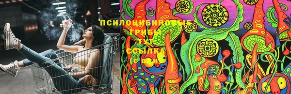 молекула духа Богданович