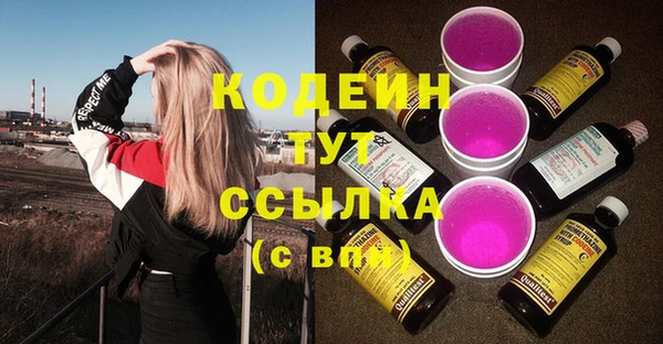 молекула духа Богданович