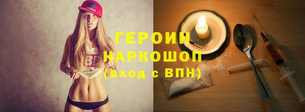 молекула духа Богданович