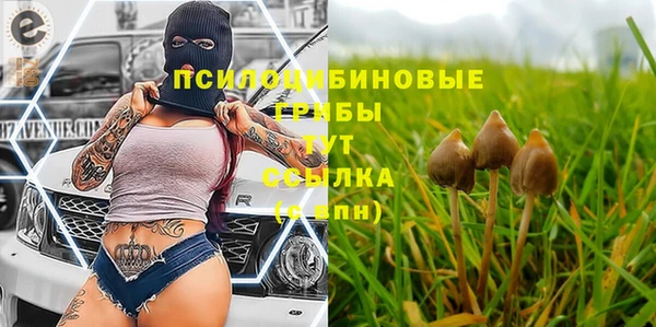 соль курить ск Богородск