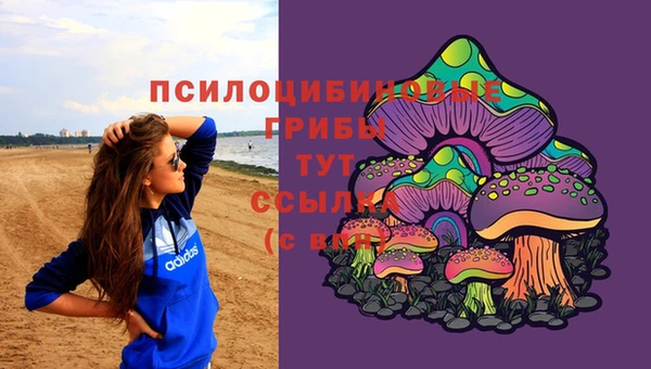 соль курить ск Богородск