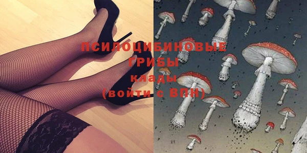 соль курить ск Богородск