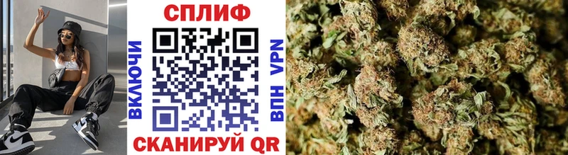 shop официальный сайт где продают наркотики Каспийск Бошки марихуана марихуана